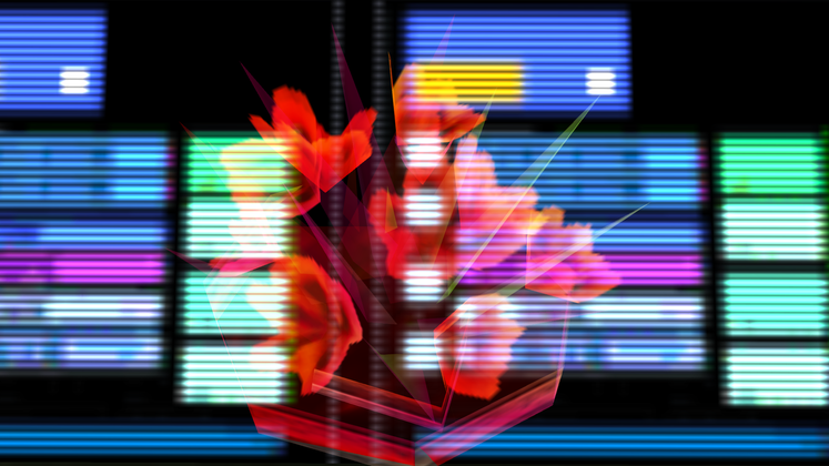 Медиа от мяу вау